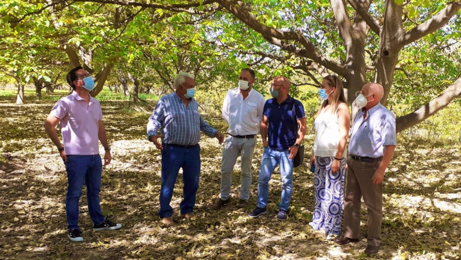 Nogueras centenarias, plantas aromáticas y árboles frutales, principales  damnificados por el pedrisco en Nerpio - El Digital de Albacete