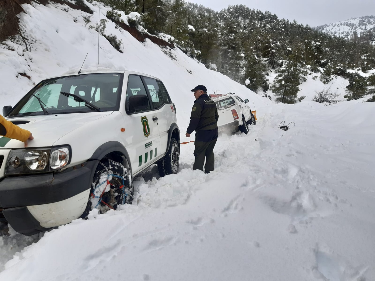 noticias provincia albacete