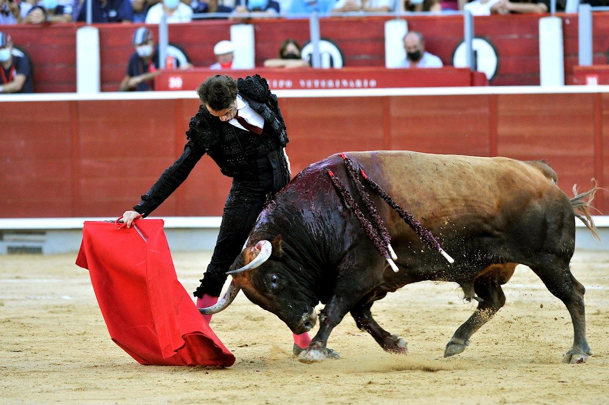 toros albacete