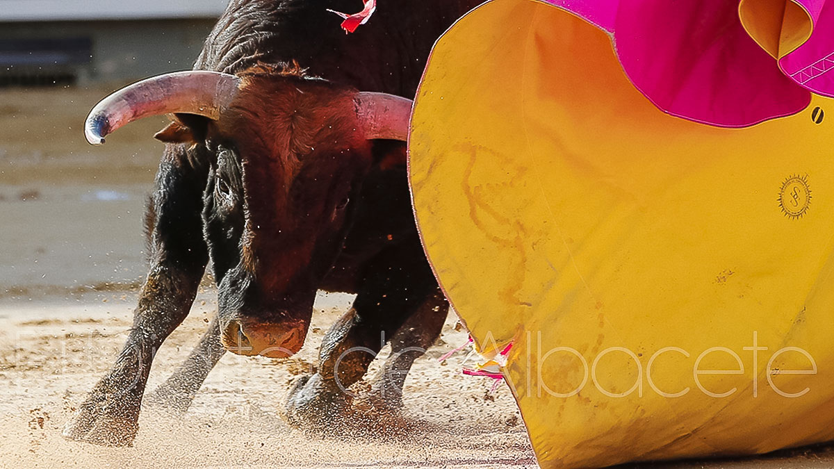 Toros en Albacete